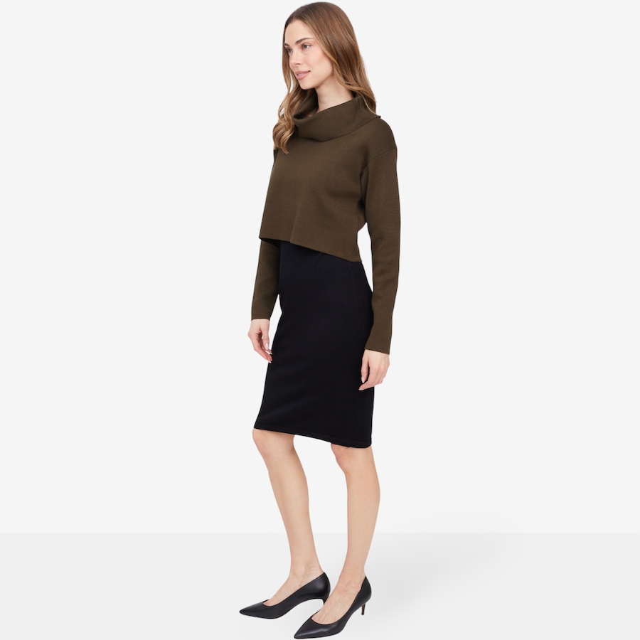 Image 102133_ALTMORE1.jpg, Product 102-133 / Price $24.88, Nina Leonard Cowl Neck Long Sleeve Popover Colourblock Sweater Dress from Nina Leonard on TSC.ca's Fashion department
