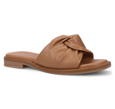 Ron White Veronica Slide