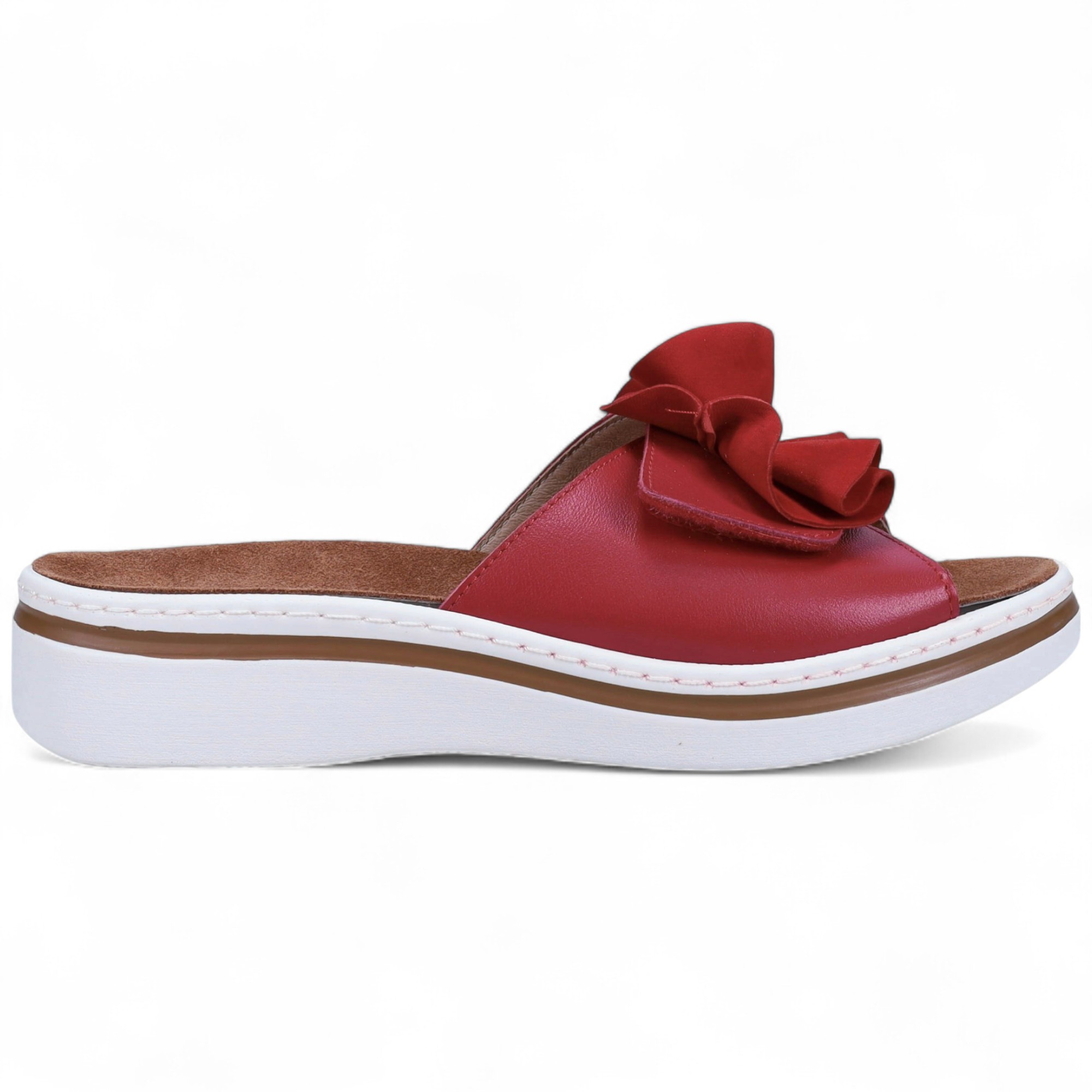 Ron White Frani Slide - TSC.ca