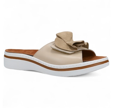 Ron White Frani Slide