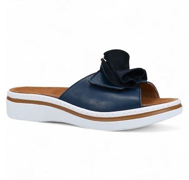 Ron White Frani Slide