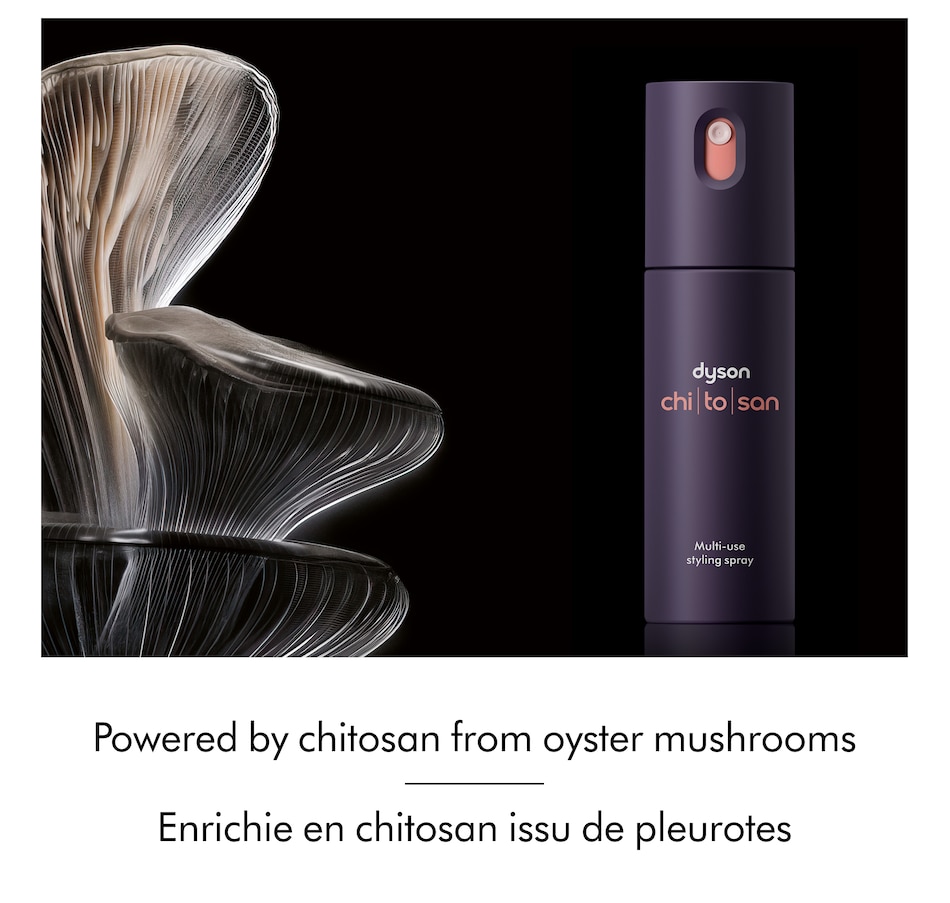 Image 105454_ALTMORE5.jpg, Product 105-454 / Price $59.99, Dyson Limited Edition Define & Refresh Styling Duo from Dyson on TSC.ca's Beauty department