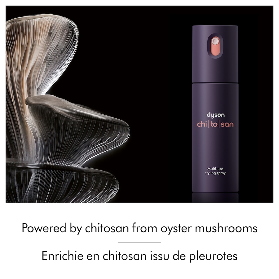 Image 105454_ALTMORE5.jpg, Product 105-454 / Price $59.99, Dyson Limited Edition Define & Refresh Styling Duo from Dyson on TSC.ca's Beauty department
