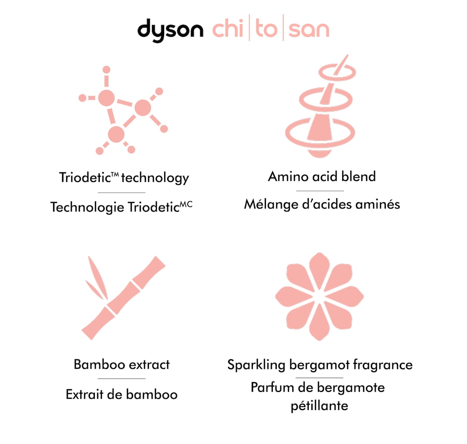 Image 105454_ALTMORE6.jpg, Product 105-454 / Price $59.99, Dyson Limited Edition Define & Refresh Styling Duo from Dyson on TSC.ca's Beauty department