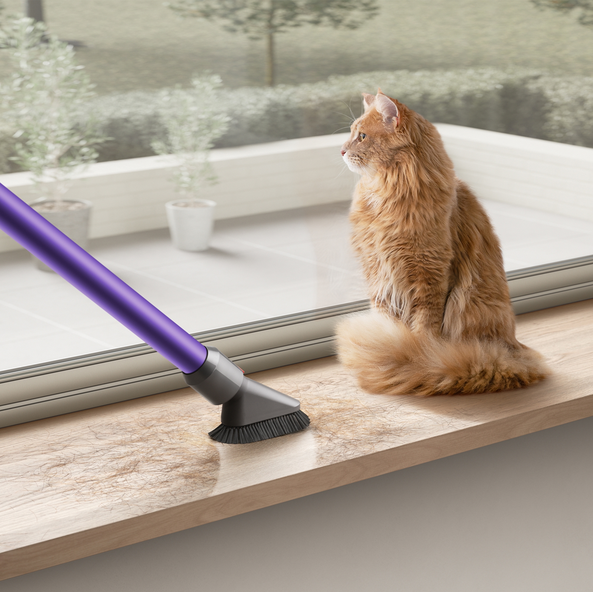 Dyson Cyclone V10 Animal+ Cordless Vacuum Bundle - TSC.ca