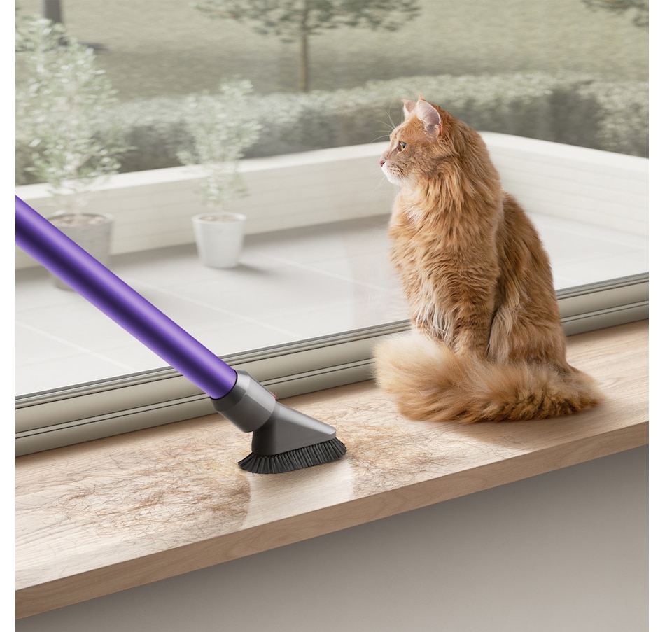 Image 105493_ALTMORE11.jpg, Product 105-493 / Price $939.97, Dyson Cyclone V10 Animal+ Cordless Vacuum Bundle from Dyson on TSC.ca's Home & Garden department