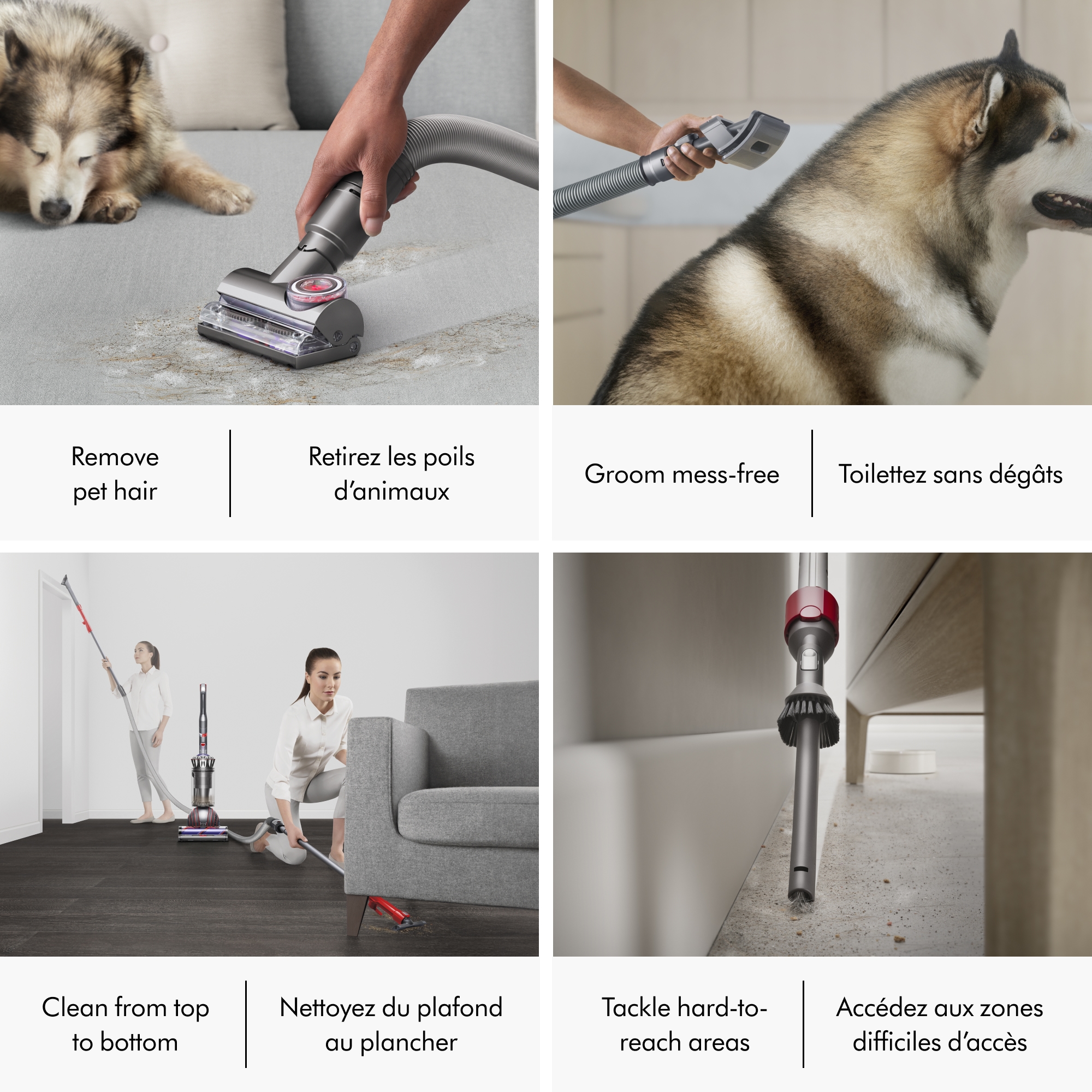 Dyson Ball Animal 3 Extra Corded Vacuum - TSC.ca