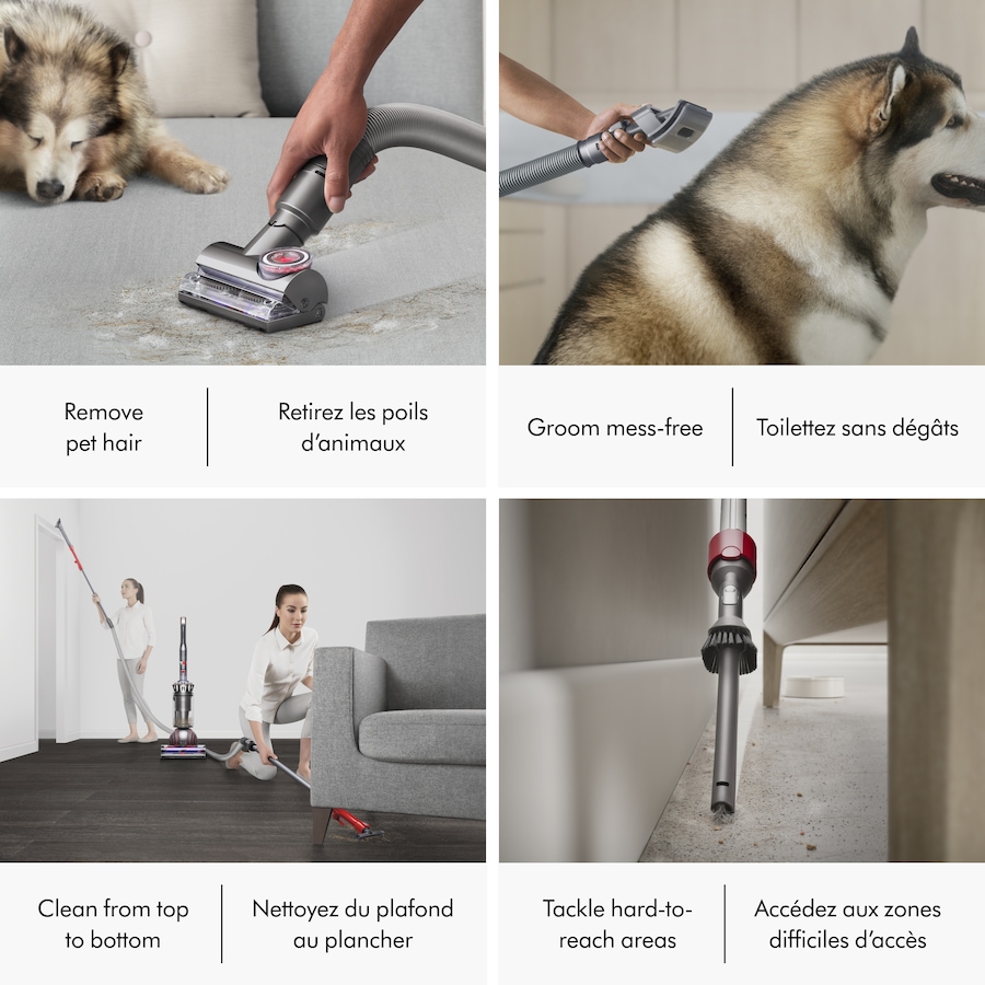 Image 106843_ALTMORE3.jpg, Product 106-843 / Price $549.99, Dyson Ball Animal 3 Extra Corded Vacuum from Dyson on TSC.ca's Home & Garden department