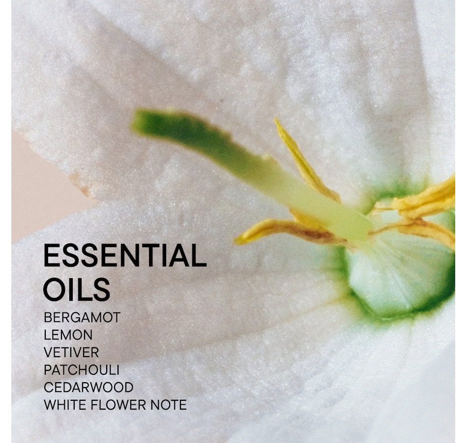 Image 109863_ALTMORE1.jpg, Product 109-863 / Price $110.00, Babor Soul & Room Fragrance Grounding from Babor on TSC.ca's Beauty department