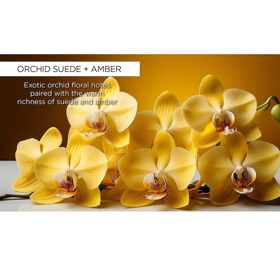 Image 113656_ALTMORE6.jpg, Product 113-656 / Price $64.00, Whish Body Oil + Body Butter Luxe Duo from Whish on TSC.ca's Beauty department