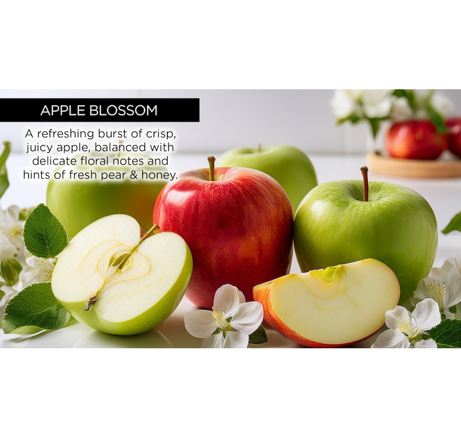 Image 113659_ALTMORE5.jpg, Product 113-659 / Price $60.00, Whish Lip Treatment Duo from Whish on TSC.ca's Beauty department