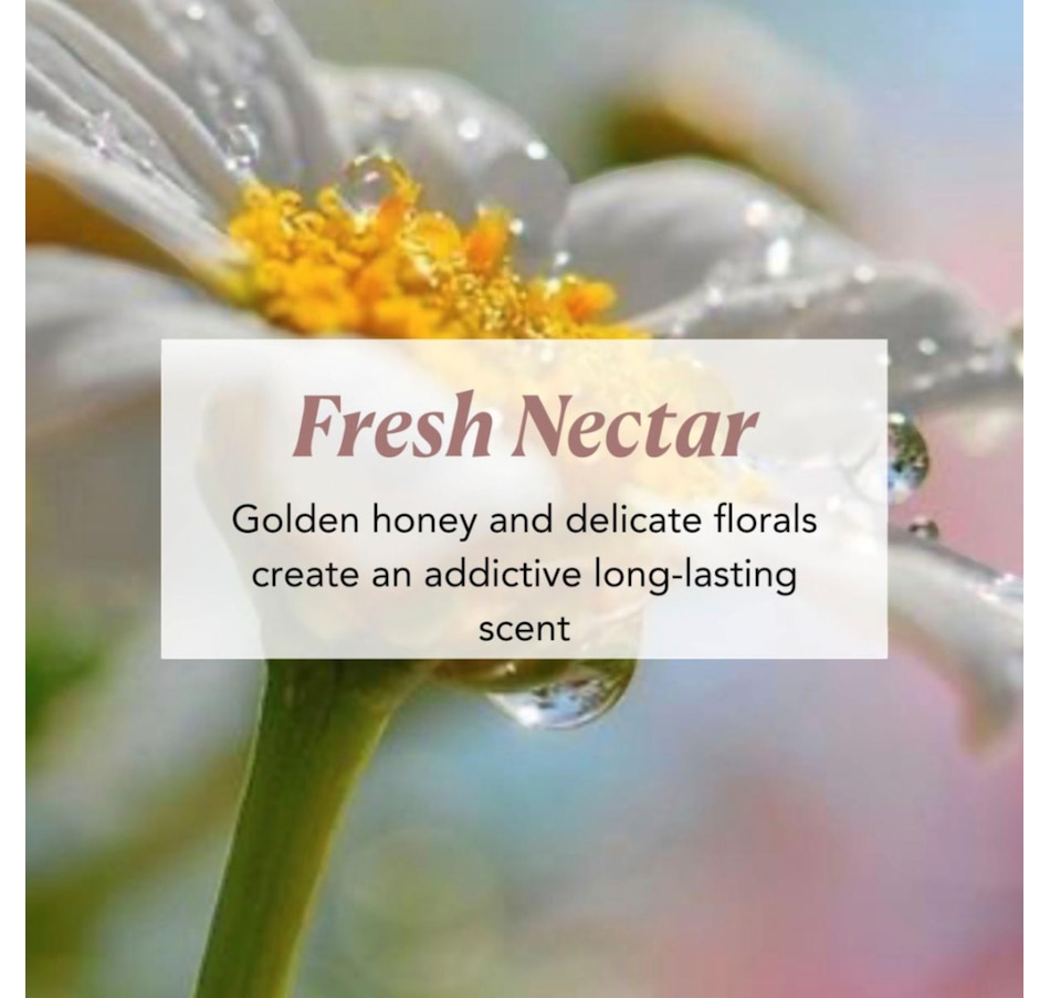 Image 113699_ALTMORE5.jpg, Product 113-699 / Price $44.99, Nakery 10-Piece Holiday Set from Nakery Beauty on TSC.ca's Beauty department