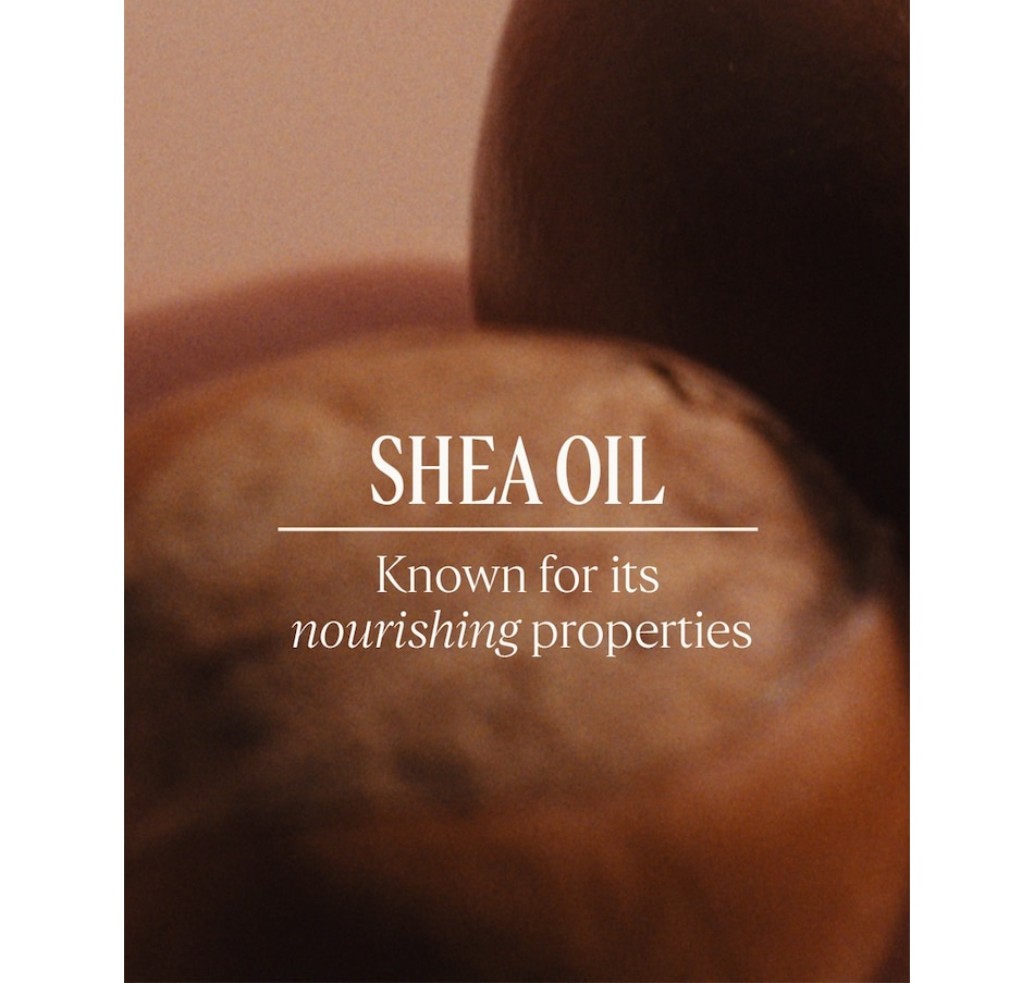 Image 114771_ALTMORE2.jpg, Product 114-771 / Price $52.50, L’Occitane Shea Shower Cream Duo from L'Occitane on TSC.ca's Beauty department