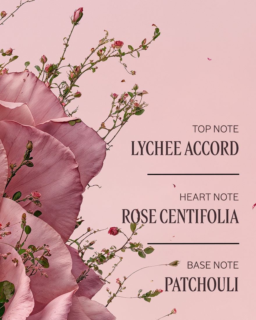 L'Occitane Rose Bundle - TSC.ca