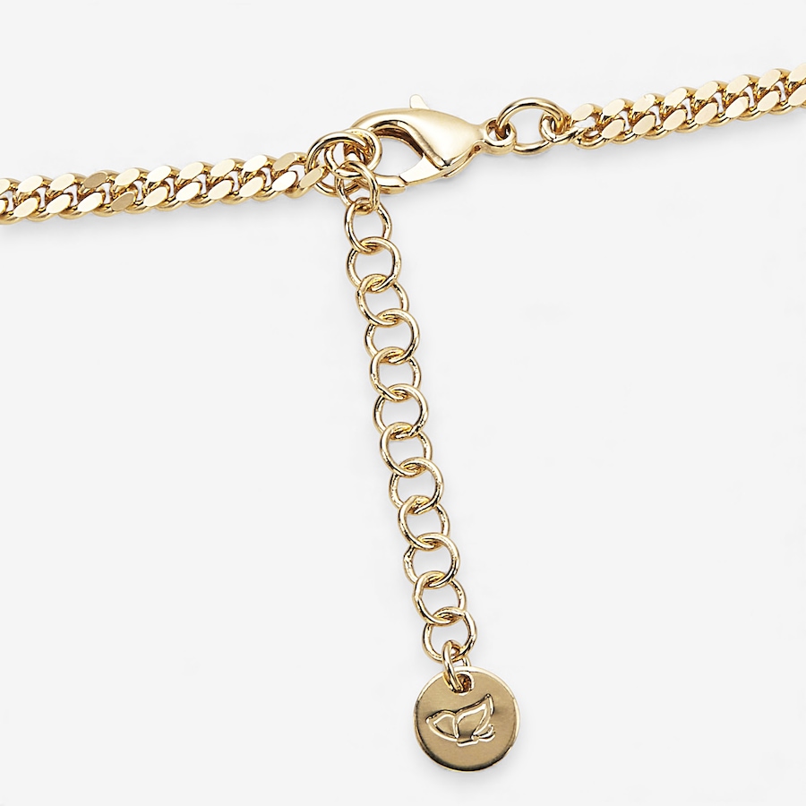Image 114983_ALTMORE1.jpg, Product 114-983 / Price $89.88, Bronzoro Yellow Gold Plate Curb Link Necklace with T Bar and Large Antique Coin from Bronzoro on TSC.ca's Jewellery department