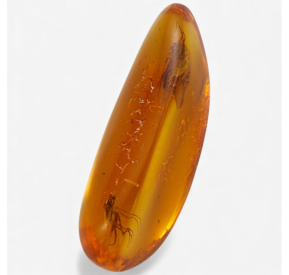 Image 115420.jpg, Product 115-420 / Price $59.99, Amber Extraordinaire Baltic Amber with Insect Good Luck Stone from Amber Extraordinaire on TSC.ca's department