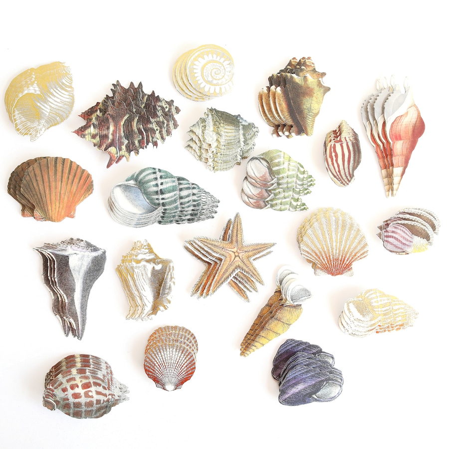 Image 117320_ALTMORE1.jpg, Product 117-320 / Price $39.99, Anna Griffin Seaside Treasures Stickers from Anna Griffin on TSC.ca's Home & Garden department