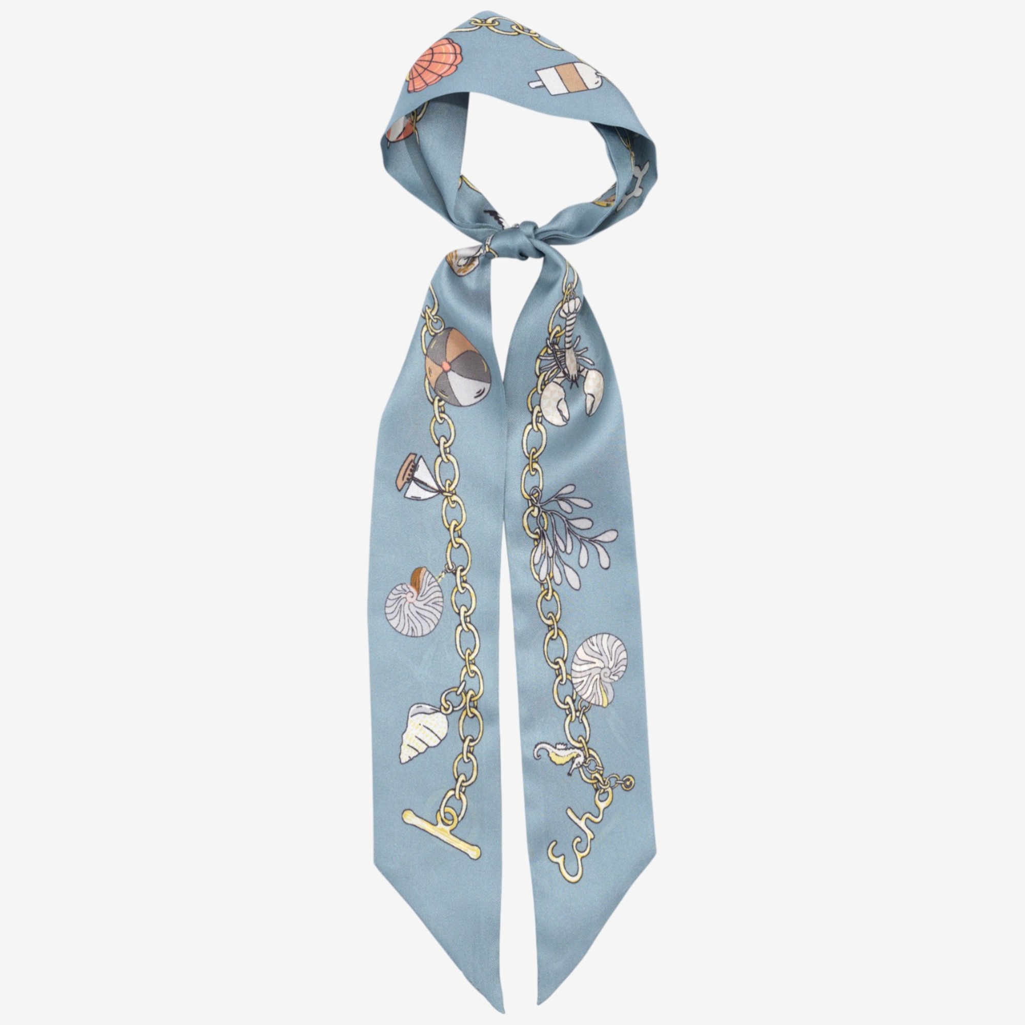 Scart Ribbon Echo Silk Ribbon Scarf - TSC.ca