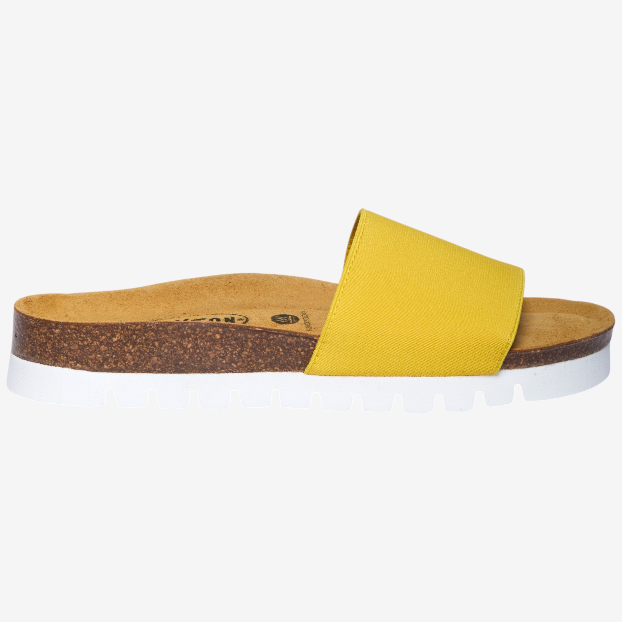 Plakton Bacardi Slide - TSC.ca