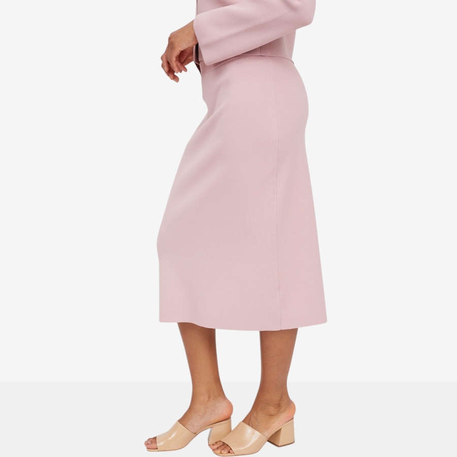 Image 122150_ALTMORE4.jpg, Product 122-150 / Price $79.88, Brian Bailey Knit Skirt from Brian Bailey on TSC.ca's Fashion department