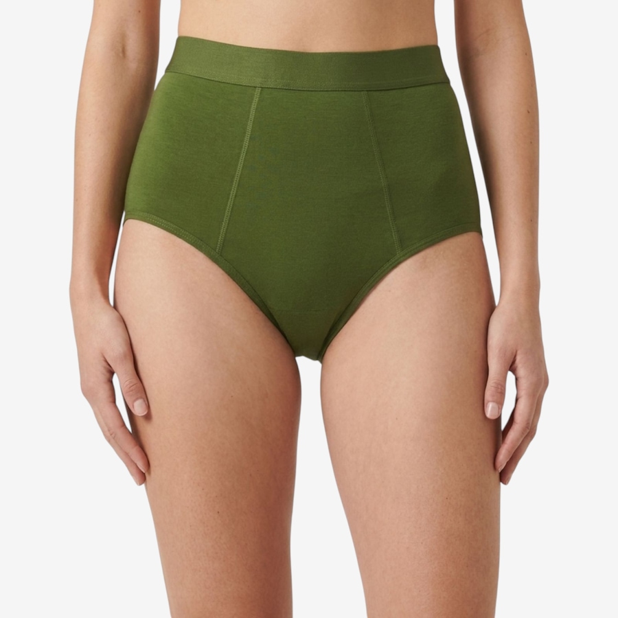 Image 123135_ALTMORE8.jpg, Product 123-135 / Price $44.99, Rhonda Shear Two-Pack Bamboo Shear Protection Brief from Rhonda Shear Shapewear on TSC.ca's Fashion department