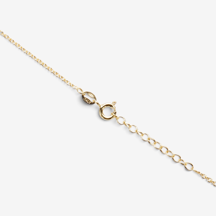Image 131347_ALTMORE1.jpg, Product 131-347 / Price $109.99, Amber Extraordinaire Sterling Silver Yellow Gold Plate Amber Sea Star Pendant with Chain from Amber Extraordinaire on TSC.ca's Jewellery department