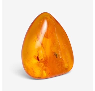 Amber Extraordinaire Baltic Amber with Inclusions Good Luck Stone