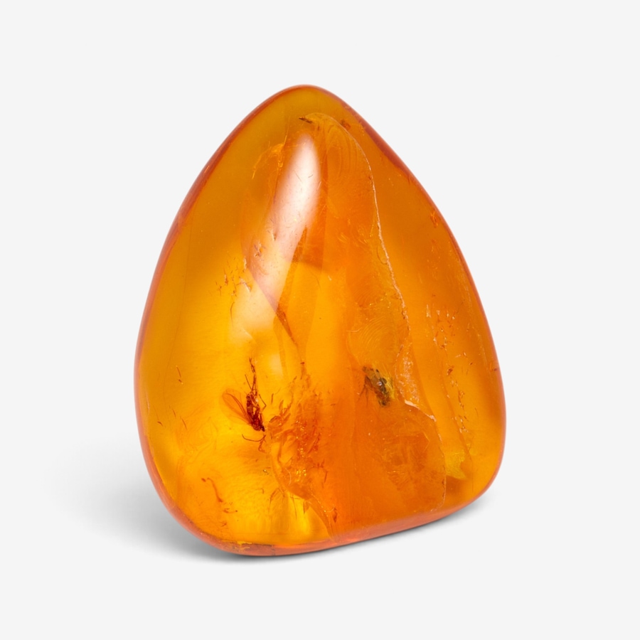 Image 131620.jpg, Product 131-620 / Price $29.99, Amber Extraordinaire Baltic Amber with Inclusions Good Luck Stone from Amber Extraordinaire on TSC.ca's Jewellery department