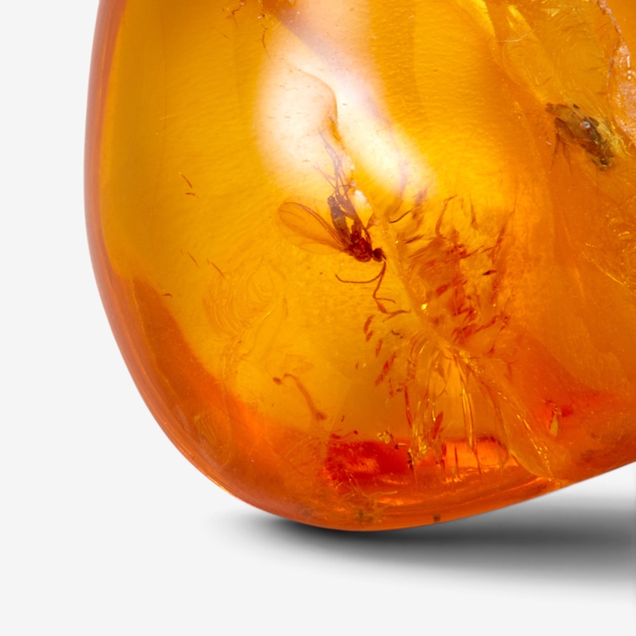 Image 131620_ALTMORE2.jpg, Product 131-620 / Price $29.99, Amber Extraordinaire Baltic Amber with Inclusions Good Luck Stone from Amber Extraordinaire on TSC.ca's Jewellery department