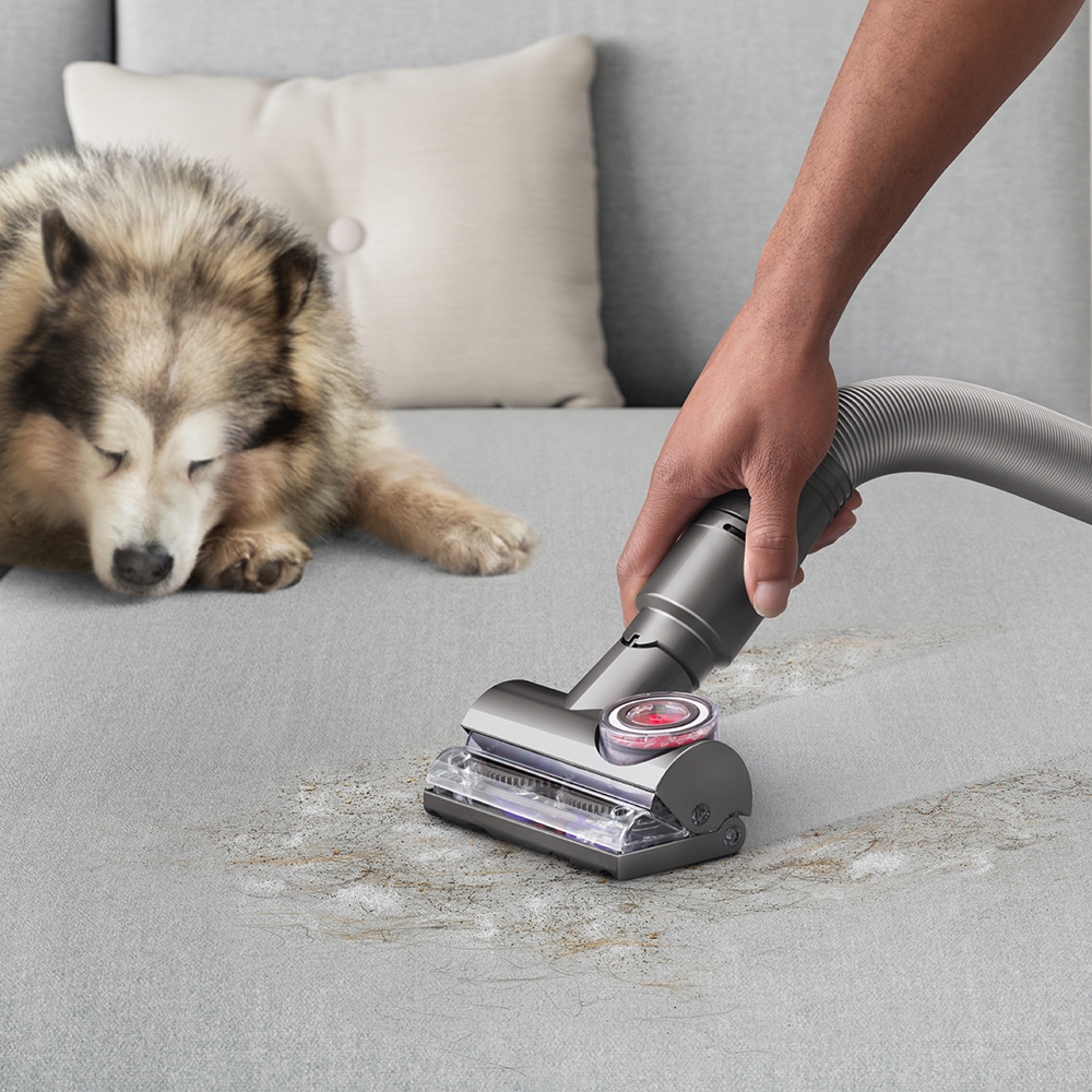 【ばん】dyson ball animal+fluffy Dyson Ball Animal 3 Total Clean Upright Vacuum - TSC.ca