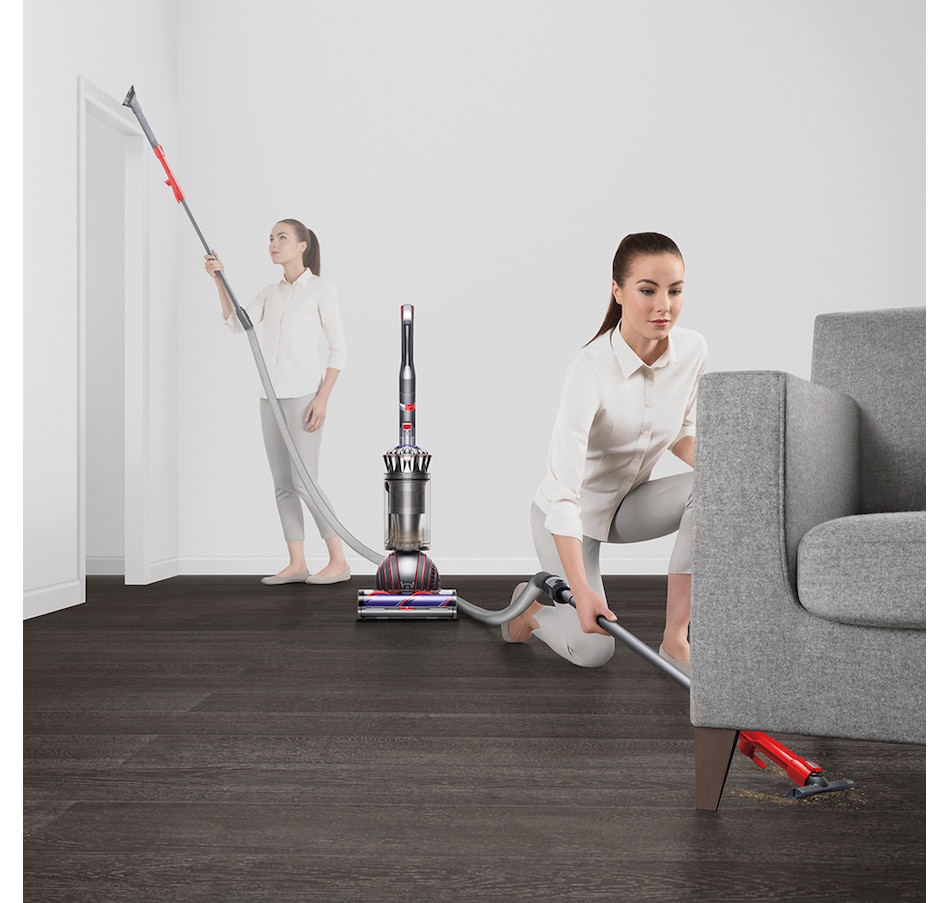 Dyson Ball Animal 3 Upright Vacuum - TSC.ca