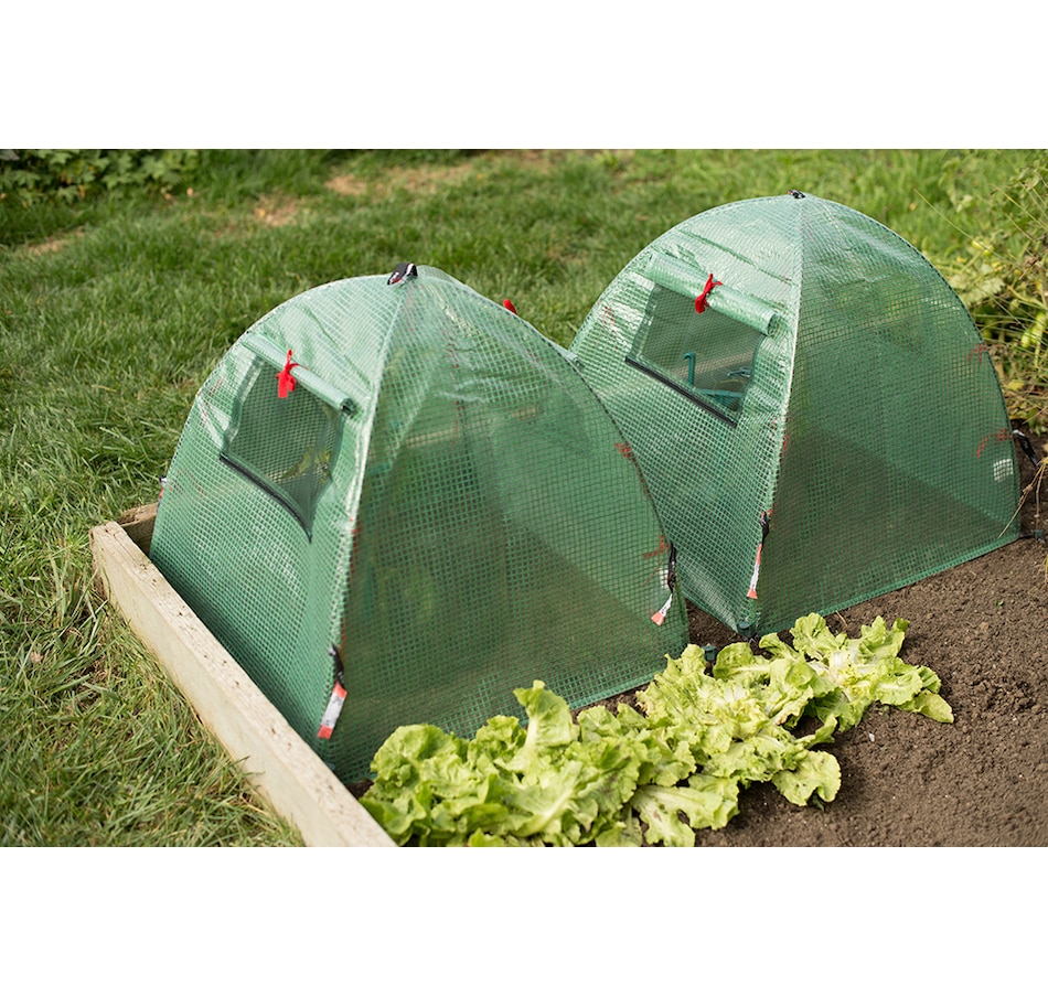 Image 211018_ALTMORE1.jpg, Product 211-018 / Price $69.99, NuVue Pop Open Greenhouse (2-pack) from NuVue on TSC.ca's Home & Garden department