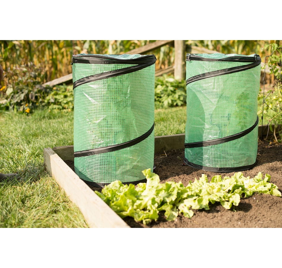 Image 211019_ALTMORE1.jpg, Product 211-019 / Price $39.99, NuVue Spring Up Greenhouse (2-pack) from NuVue on TSC.ca's Home & Garden department