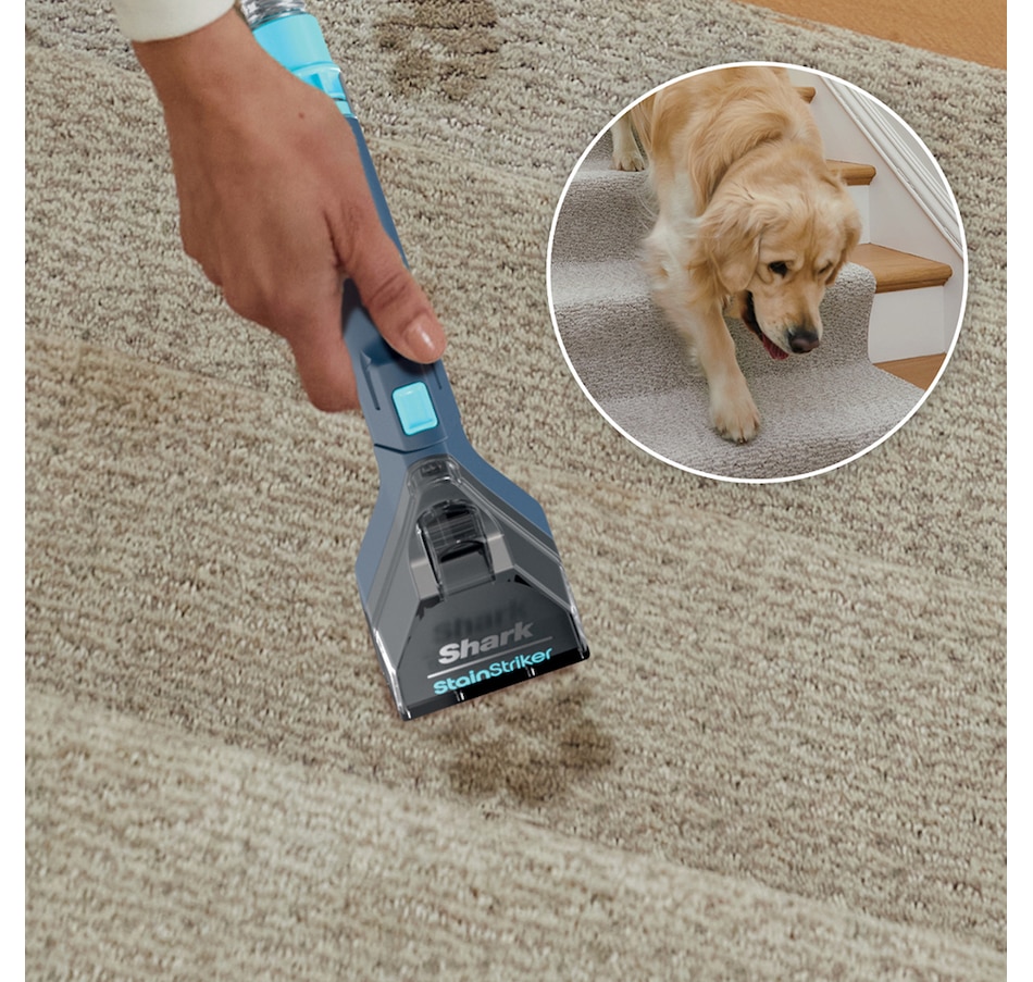 Image 211164_ALTMORE2.jpg, Product 211-164 / Price $179.99, Shark StainStriker Portable Carpet and Upholstery from Shark on TSC.ca's Home & Garden department