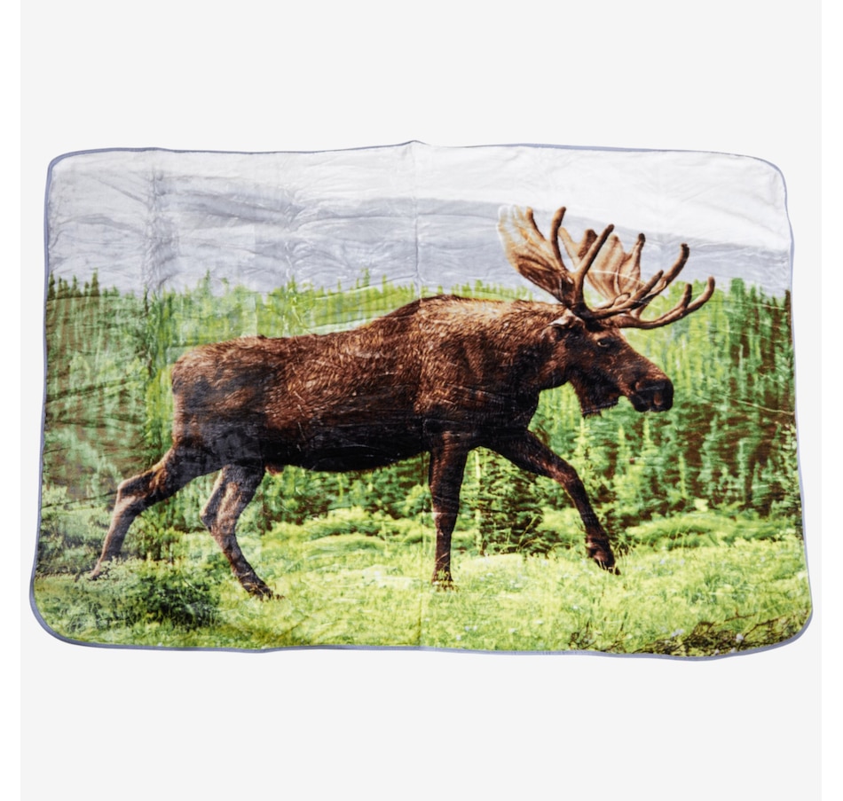 Image 211567_MSE.jpg, Product 211-567 / Price $29.99, Shavel High-Pile Throw (60" x 80") from Shavel on TSC.ca's Home & Garden department