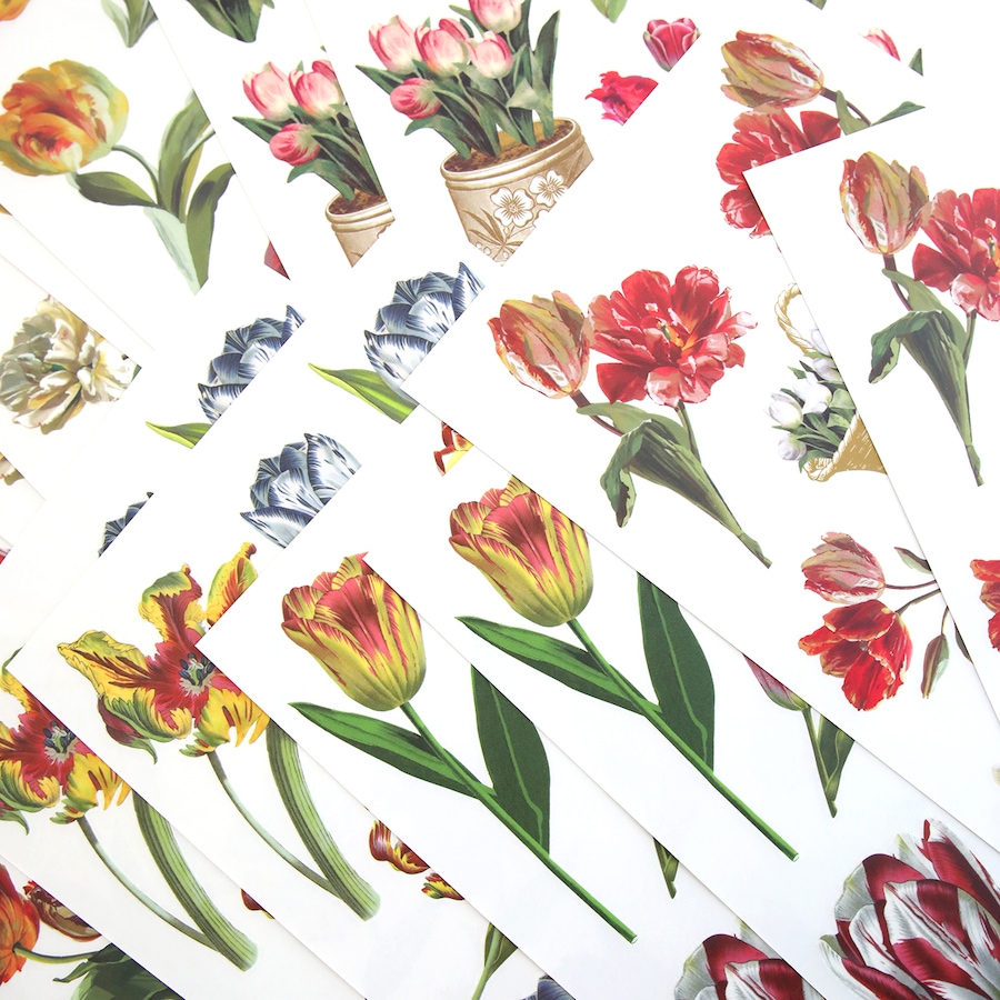 Image 212417_ALTMORE2.jpg, Product 212-417 / Price $39.99, Anna Griffin Tulip Rub-On Transfers from Anna Griffin on TSC.ca's Home & Garden department