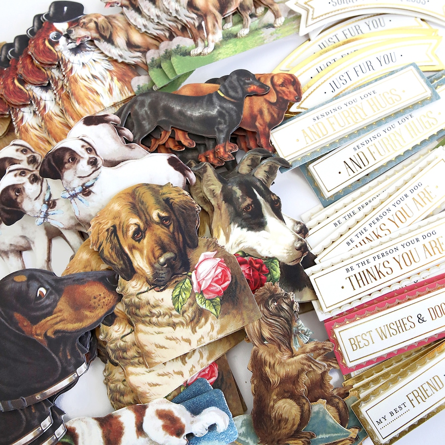 Image 212419_ALTMORE7.jpg, Product 212-419 / Price $39.99, Anna Griffin Furbaby Stickers and Sentiments from Anna Griffin on TSC.ca's Home & Garden department