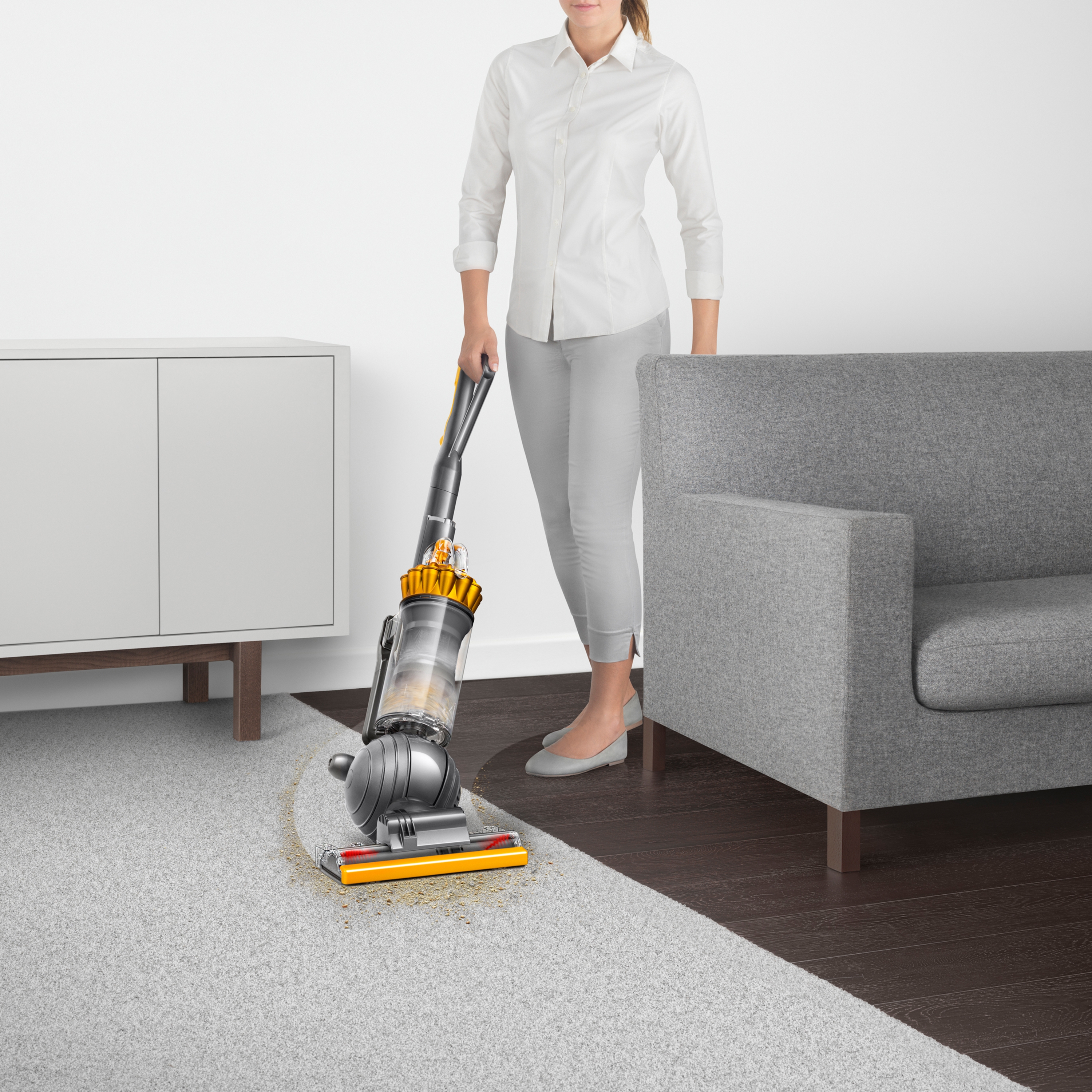 Dyson Ball Origin - TSC.ca