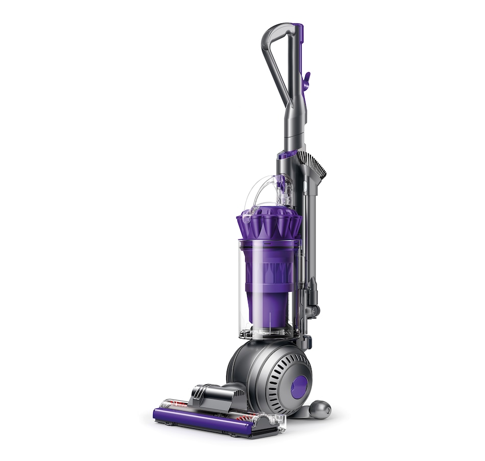 Image 213600_ALTMORE1.jpg, Product 213-600 / Price $699.99, Dyson Ball Animal 2 Pro from Dyson on TSC.ca's Home & Garden department