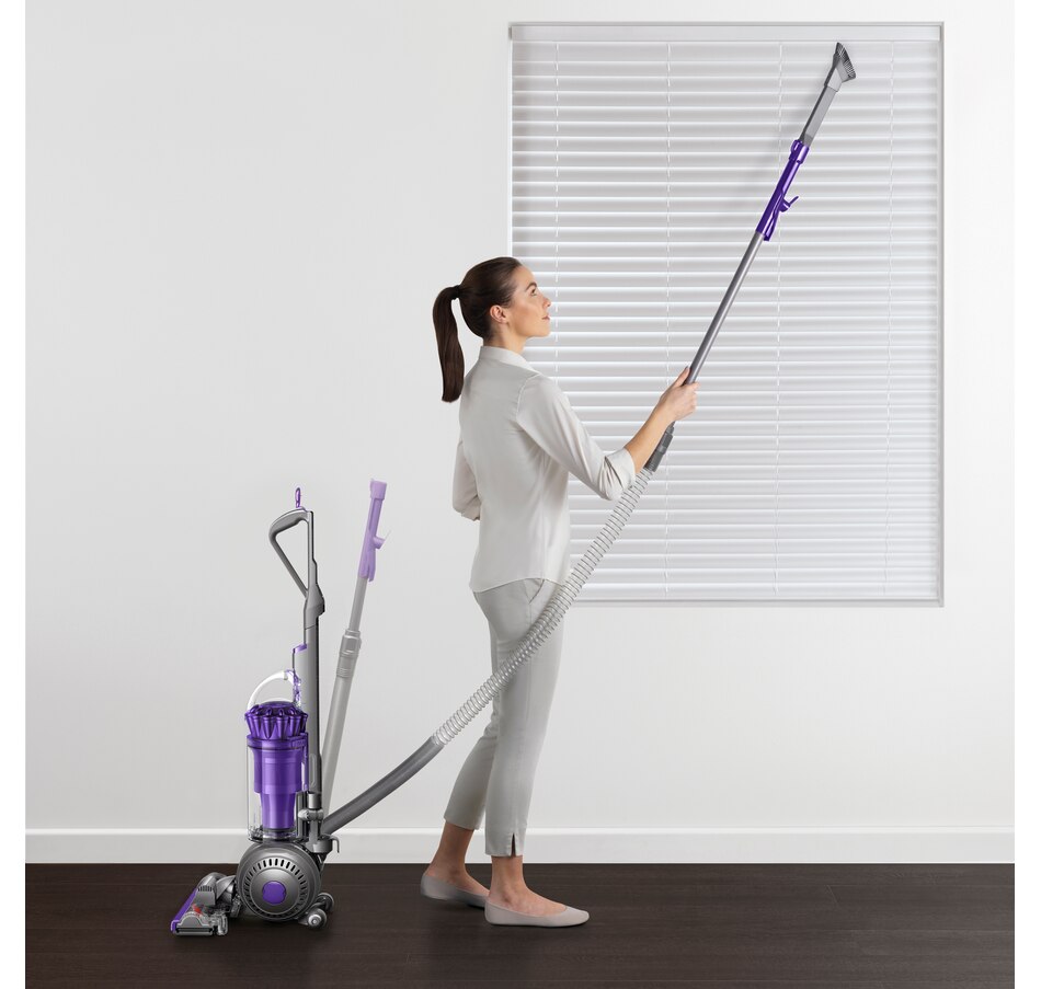 Image 213600_ALTMORE3.jpg, Product 213-600 / Price $699.99, Dyson Ball Animal 2 Pro from Dyson on TSC.ca's Home & Garden department