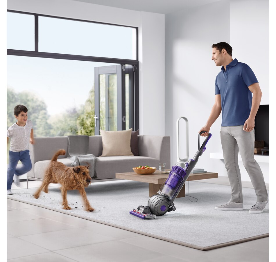 Image 213600_ALTMORE6.jpg, Product 213-600 / Price $699.99, Dyson Ball Animal 2 Pro from Dyson on TSC.ca's Home & Garden department