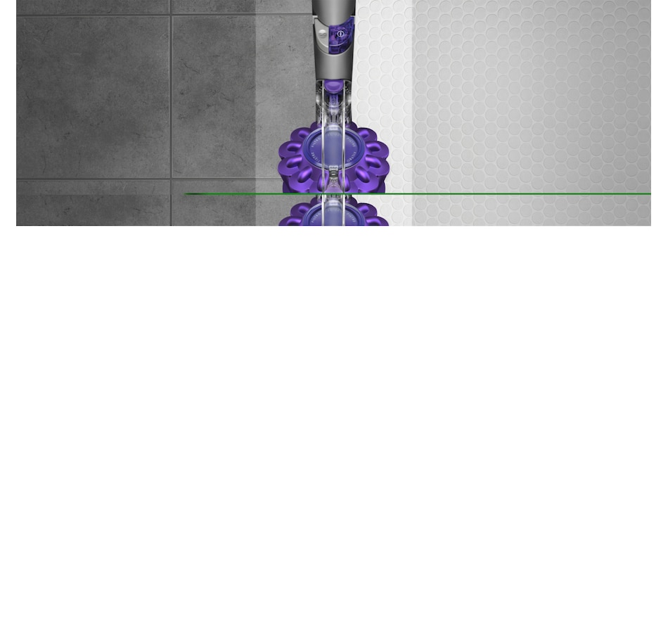 Image 213600_ALTMORE7.jpg, Product 213-600 / Price $699.99, Dyson Ball Animal 2 Pro from Dyson on TSC.ca's Home & Garden department