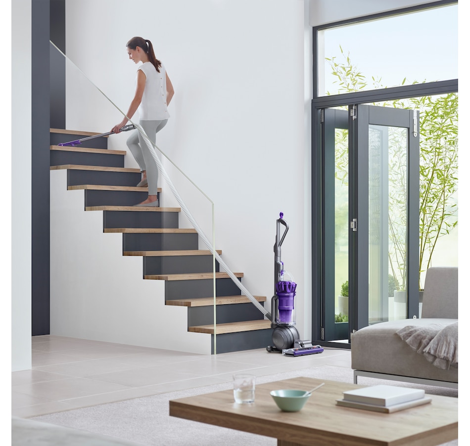 Image 213600_ALTMORE8.jpg, Product 213-600 / Price $699.99, Dyson Ball Animal 2 Pro from Dyson on TSC.ca's Home & Garden department