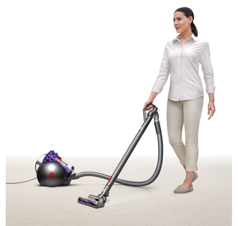 Image 213603_ALTMORE6.jpg, Product 213-603 / Price $699.99, Dyson Cinetic Big Ball Animal Pro from Dyson on TSC.ca's Home & Garden department