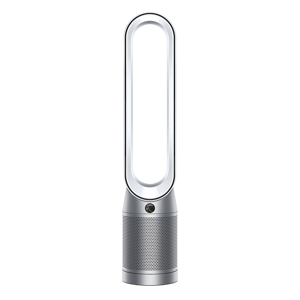 Dyson Purifier Cool - TSC.ca