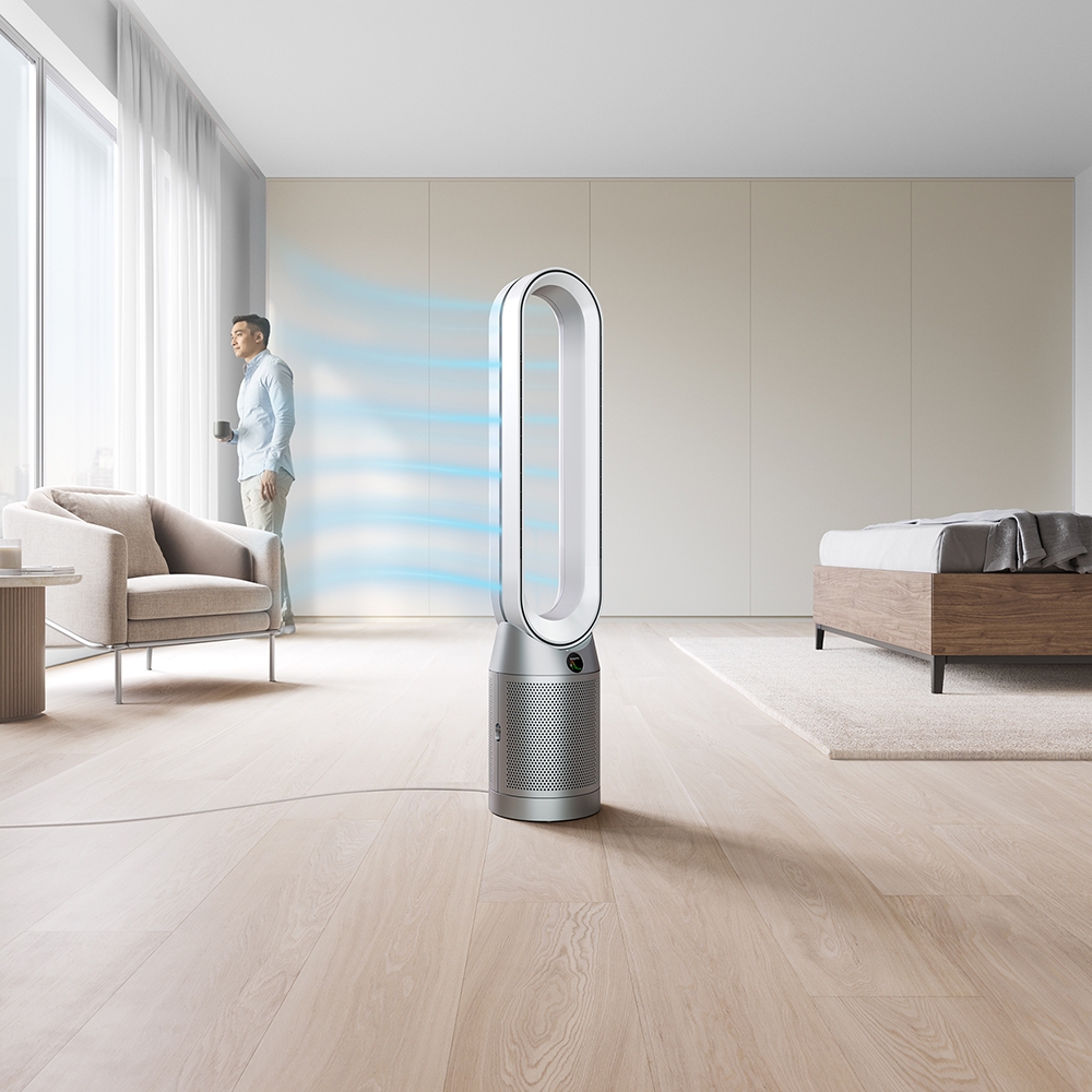 Dyson Purifier Cool - TSC.ca