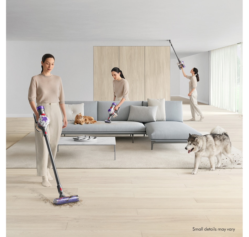 Home & Garden - Cleaning, Laundry & Vacuums - Stick Vacuums - Dyson V8  Animal - Online Shopping for Canadians