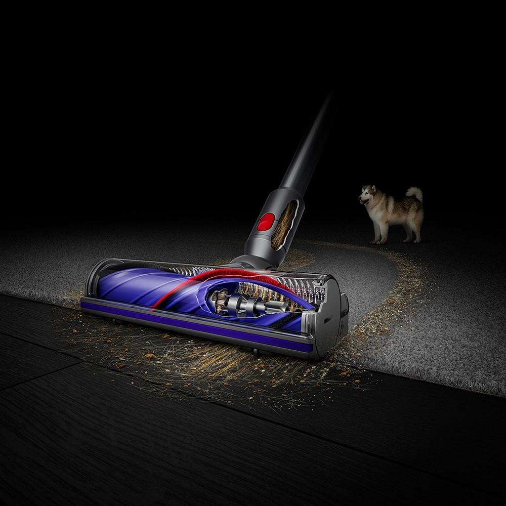 Dyson V10 Allergy Cordless Vacuum - TSC.ca