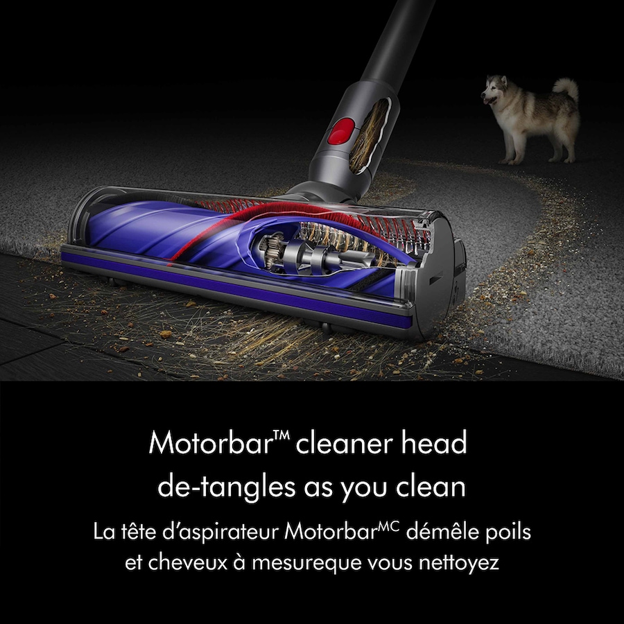 Image 216226_ALTMORE3.jpg, Product 216-226 / Price $499.99, Dyson V8 Origin Cordless Vacuum from Dyson on TSC.ca's Home & Garden department
