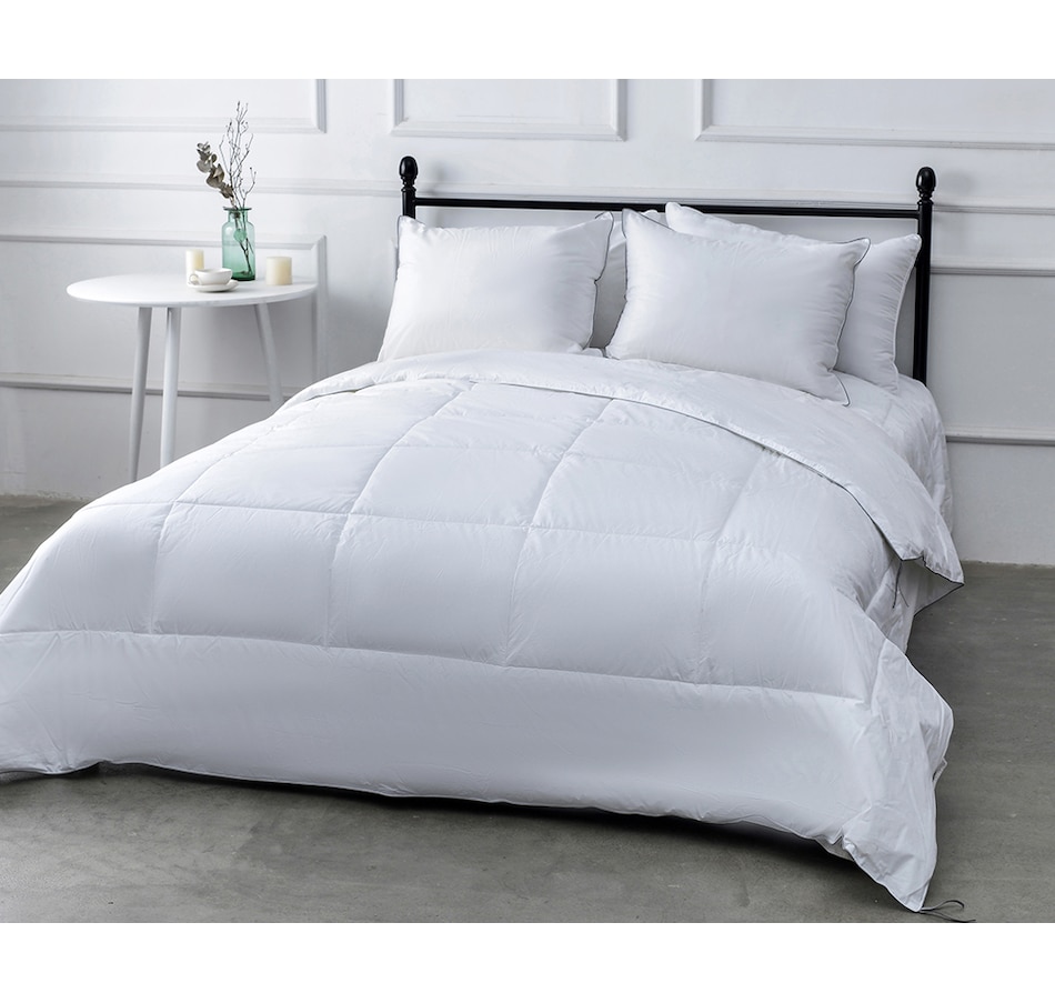 Image 221089.jpg, Product 221-089 / Price $99.99 - $149.90, Homesuite Essentials Down Alternative Cotton Duvet With Silverclear from HomeSuite Collection on TSC.ca's Home & Garden department